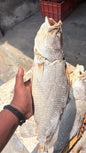 Dried PANDUKAPPA (100gm)