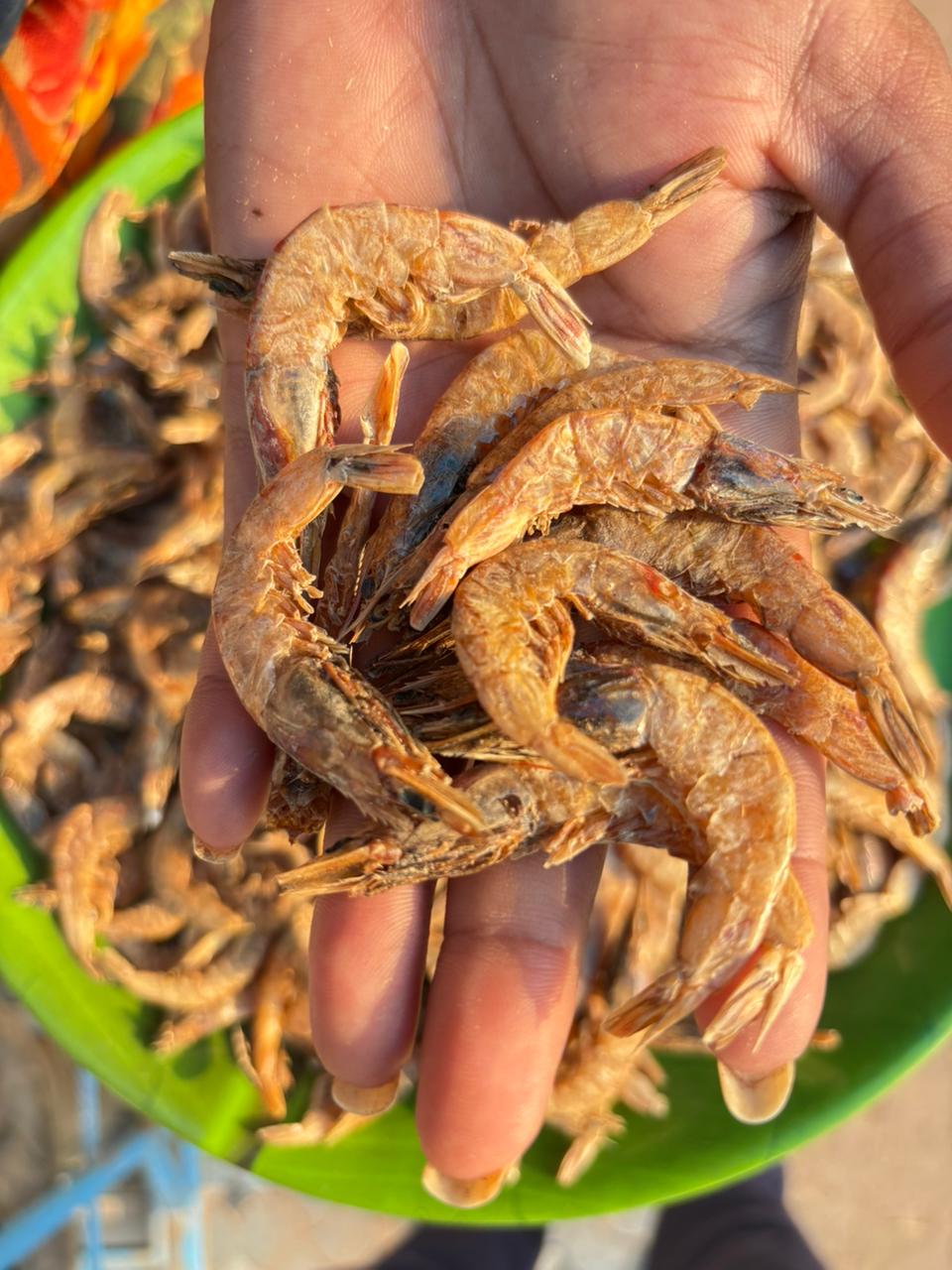 DRIED PRAWNS