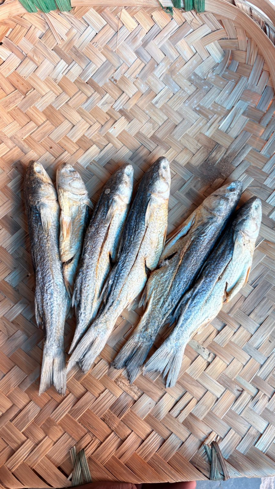 katta chepalu 100gm